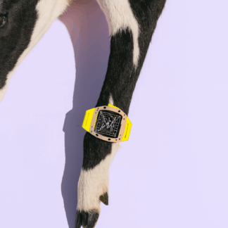 Une vache qui porte une montre moderne jaune.