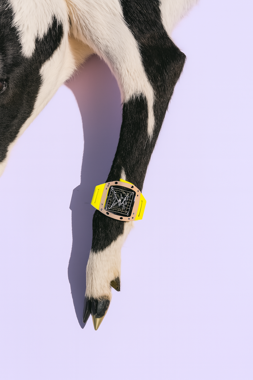 Une vache qui porte une montre moderne jaune.