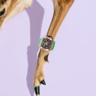 Biche qui porte une montre moderne verte.