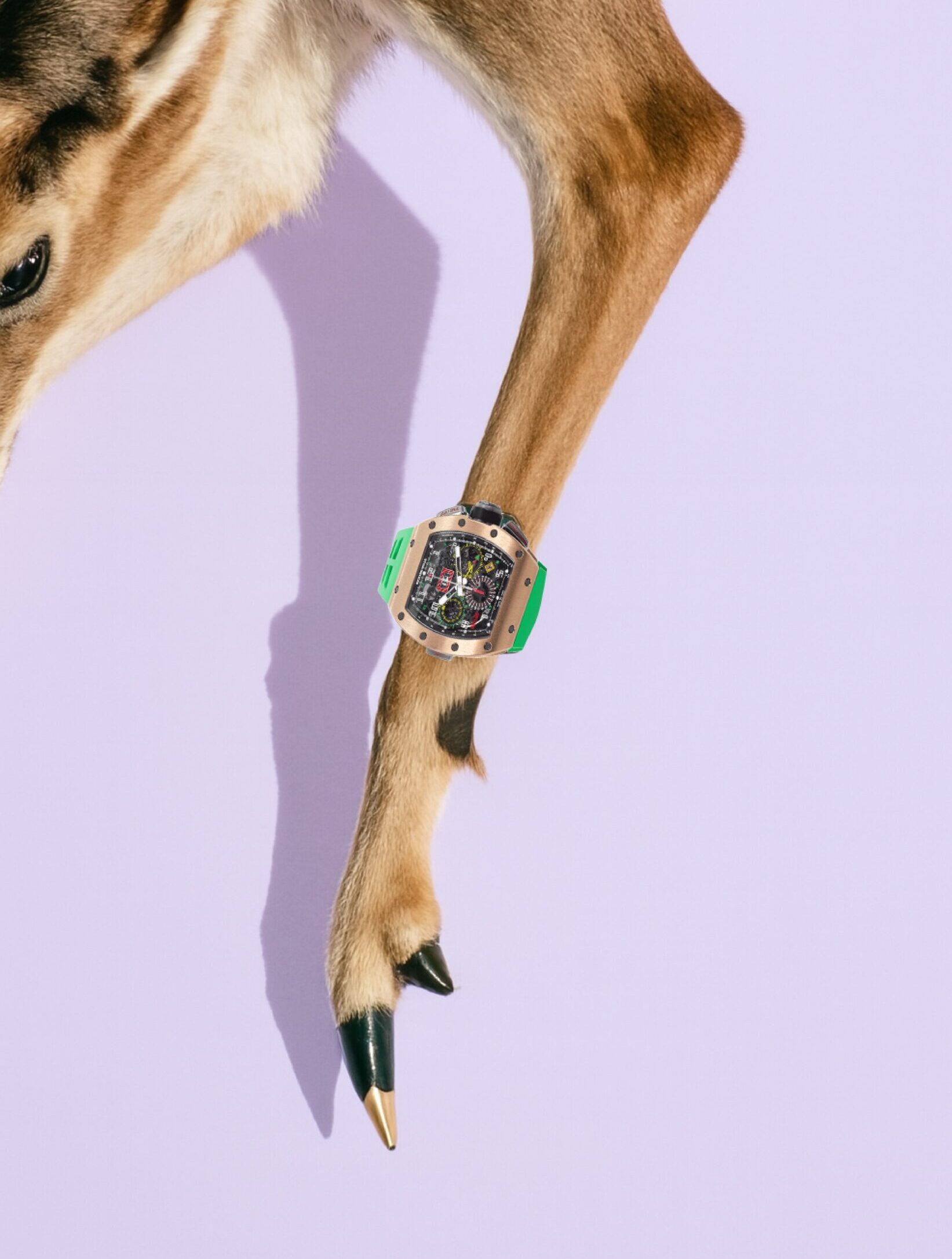 Biche qui porte une montre moderne verte.