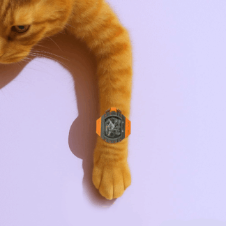 chat qui porte une montre moderne orange