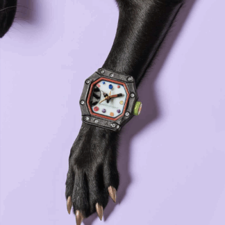 chien qui porte une montre moderne noir à cadran noir.