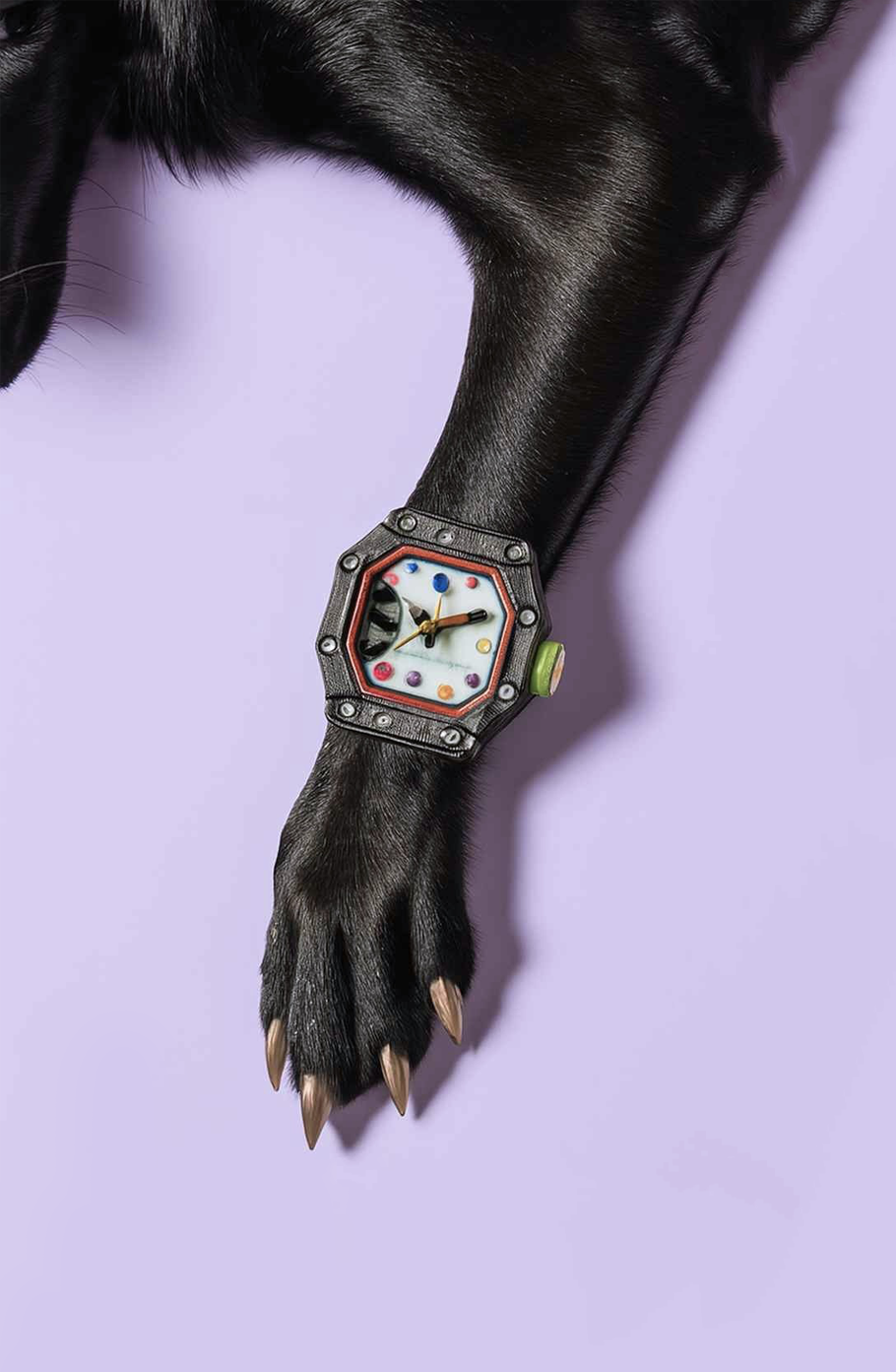 chien qui porte une montre moderne noir à cadran noir.